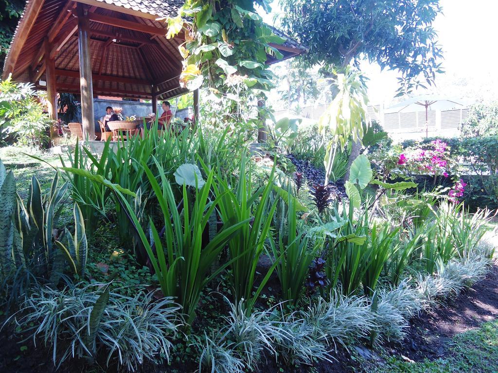 Argasoka Bungalows Ubud Exteriér fotografie