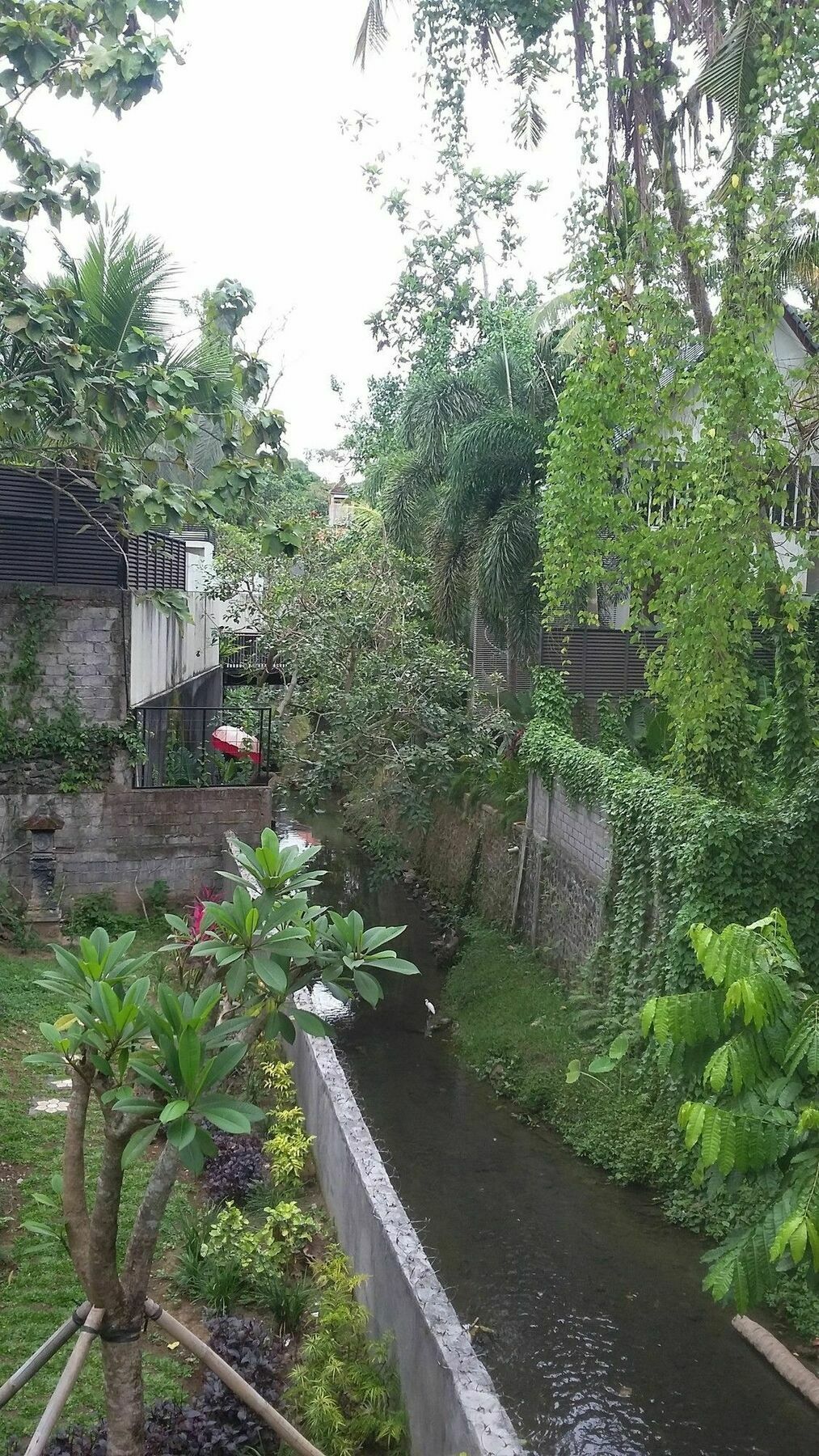Argasoka Bungalows Ubud Exteriér fotografie